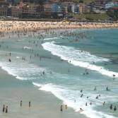 Packat Bondi