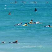 surf skola